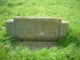 image of grave number 236293